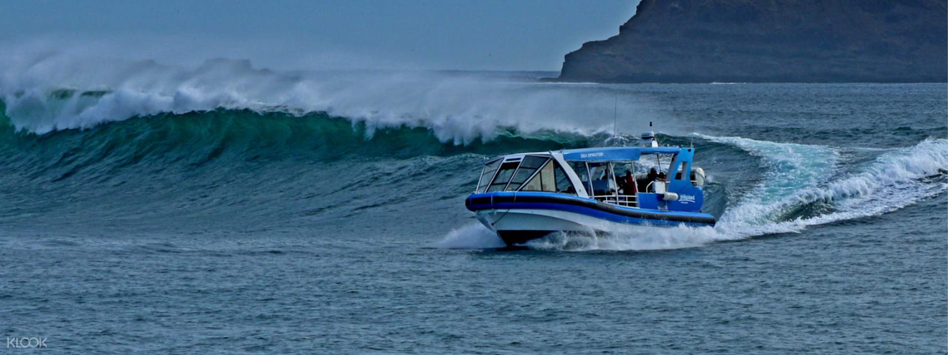 eco boat adventure tour phillip island